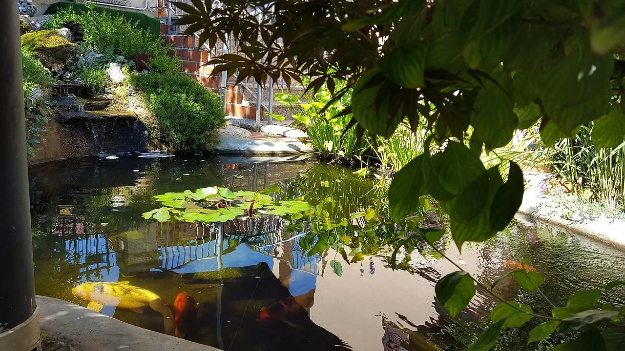 Apartments Ginkgo Banjole Croatia